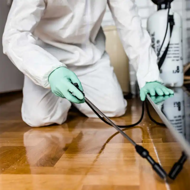 Chemical treatment for Bed Bug Removal